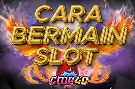 Aplikasi Admin Slot Online Terbaik Dan Terpercaya No 1 Carolina Utara